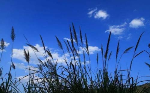 9月3日武漢天氣預(yù)報(bào)最新