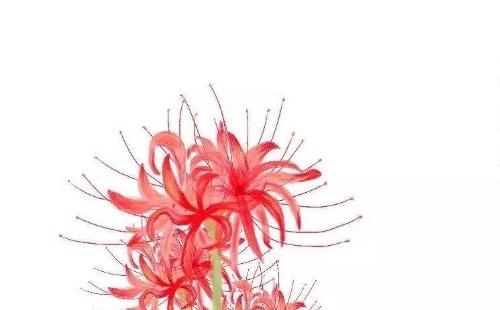 武漢白露節(jié)氣后還熱嗎  武漢還要熱多久