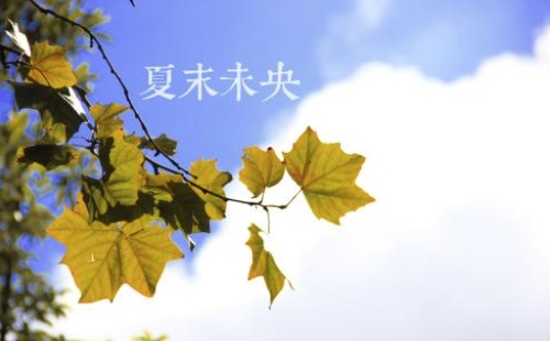 武漢秋老虎又來了 最高氣溫35℃