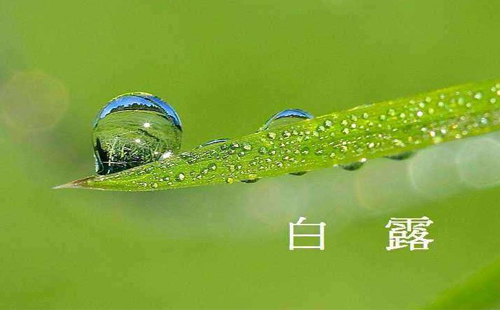 武漢未來三天天氣預(yù)報(bào) 白露節(jié)氣注意事項(xiàng)