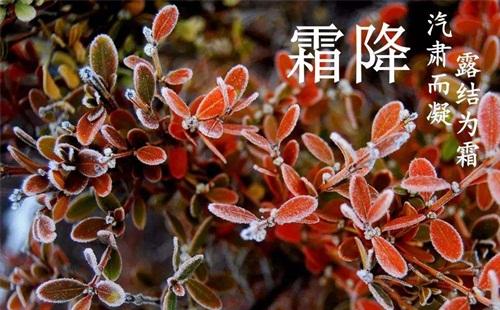 2020霜降是什么時(shí)候 霜降有什么習(xí)俗