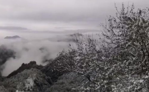 湖北神農(nóng)架迎來(lái)降雪 武漢未來(lái)三天天氣