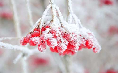 10月23日霜降節(jié)氣的含義是什么