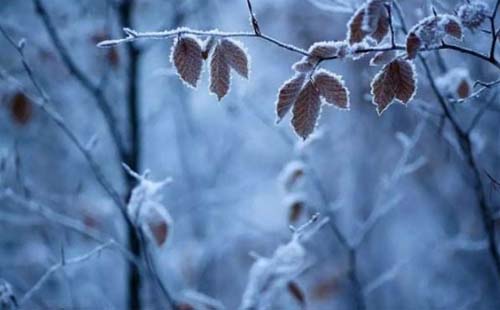 初雪后武漢多云轉(zhuǎn)陰天為主