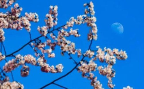 武漢未來三天天氣查詢（3月4日-3月6日）