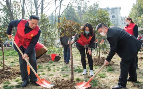 2021年3月12日武漢植樹節(jié)恰逢“出九”