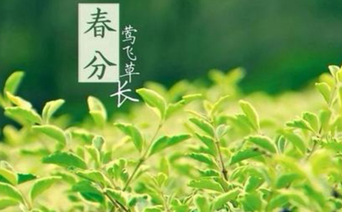武漢春分日天氣怎么樣 武漢未來三天天氣（2021.3.20-22）