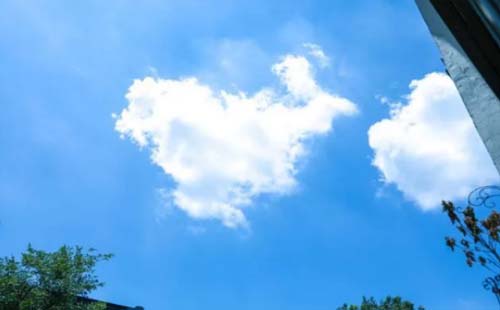 5月8日武漢連續(xù)請(qǐng)好最高溫沖上30℃