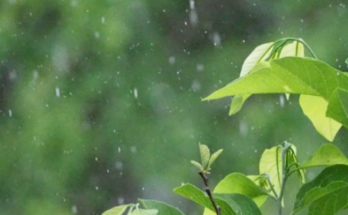 梅雨季節(jié)是什么時間幾月開始的2021
