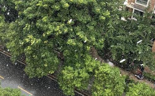 武漢暴雨預(yù)警最新6月30日