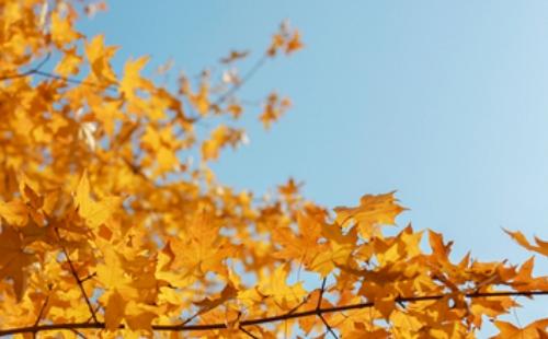 立秋是幾月幾號(hào)2021年（2021立秋時(shí)間）
