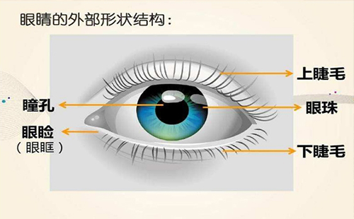 怎么預防近視緩解眼睛疲勞