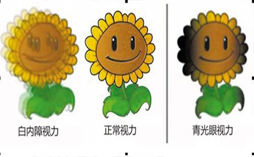 程序員高發(fā)疾病白內障 程序員老年病多發(fā)需重視