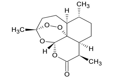 屠呦呦團(tuán)隊新突破 青蒿素系統(tǒng)性紅斑狼瘡治療
