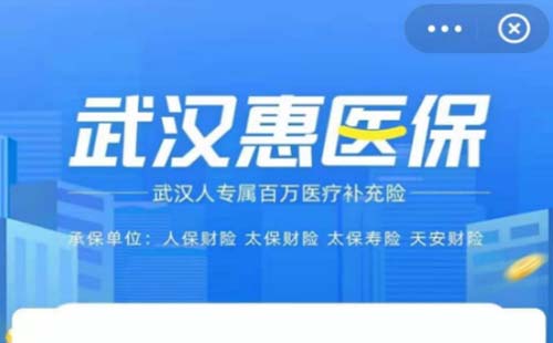 為什么支付寶上的“武漢惠醫(yī)?！辈荒芡侗?>
	</a>
	<div   id=