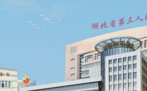 湖北省第三人民醫(yī)院核酸檢測(cè)怎么預(yù)約