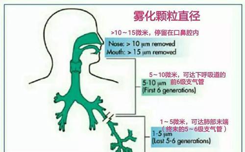 2021年霧化吸入式新冠疫苗最新進展