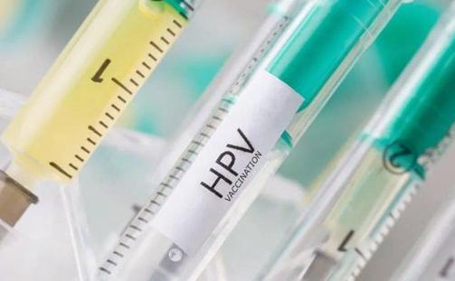 hpv9價疫苗價格多少 疫苗接種禁忌說明