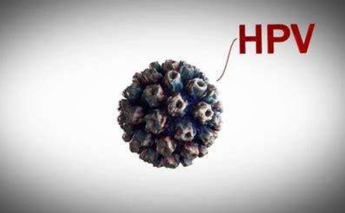 2022年3月份武漢HPV疫苗預(yù)約信息公示