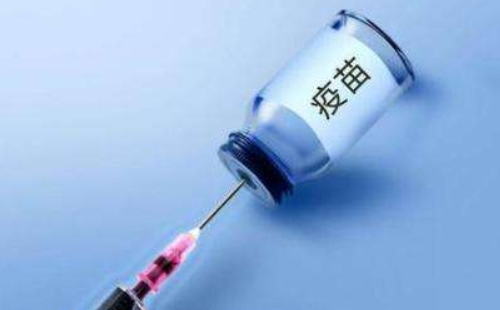 序貫加強(qiáng)免疫接種和第三針的區(qū)別