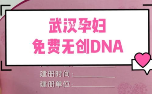 武漢免費(fèi)無(wú)創(chuàng)dna和自費(fèi)的區(qū)別