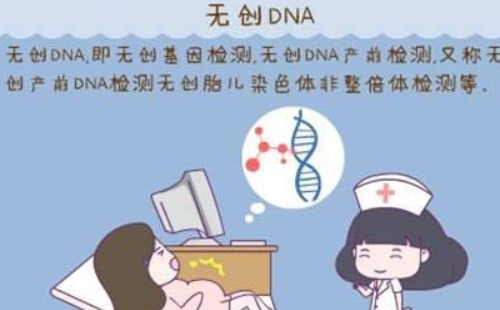武漢免費(fèi)無(wú)創(chuàng)dna需要帶什么證件（武漢免費(fèi)無(wú)創(chuàng)dna申請(qǐng)條件）