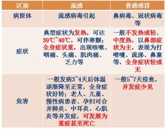 5d6034a85edf8db1990f69541fc0cb5f574e74ce.webp.jpg