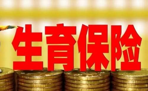 武漢領(lǐng)生育津貼需要準備什么材料