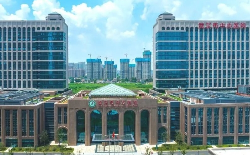 武漢市中心醫(yī)院楊春湖院區(qū)地址在哪里怎么去