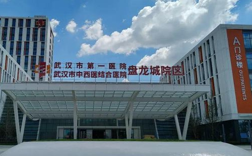 武漢市第一醫(yī)院盤龍城院區(qū)在哪里怎么去
