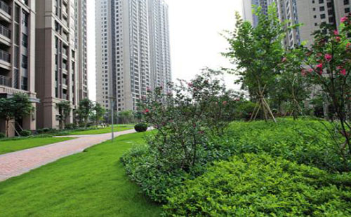 回遷房與商品房有什么區(qū)別 購(gòu)買(mǎi)回遷房需要注意什么