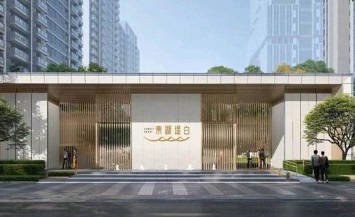 武漢萬科東湖堤白和萬科新都會怎么樣