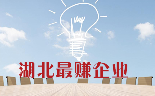 湖北上市企業(yè)報(bào)表 誰(shuí)是利潤(rùn)王