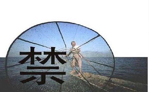 湖北省長(zhǎng)江漢江武漢段、丹江口段禁捕十年通知