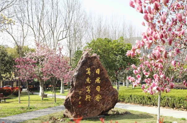 微信截圖_20200421115435.png