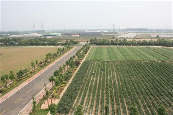 u=2885549983,1100352842&fm=26&gp=0.jpg