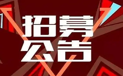 招募1.jpg