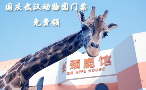 國慶武漢動物園門票免費領啦