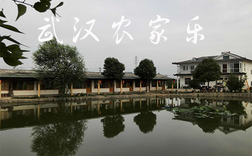 武漢農(nóng)家樂有哪些