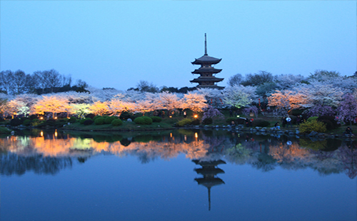 2019武漢春節(jié)游玩攻略 2019春節(jié)風景好安靜的旅游勝地
