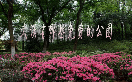 武漢有哪些免費(fèi)的公園2019