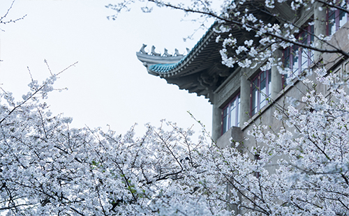 武大櫻花門(mén)票預(yù)約2019 武漢大學(xué)櫻花預(yù)約2019(官網(wǎng)+怎么預(yù)約)