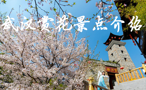 武漢賞花景點(diǎn)介紹 武漢賞花的地方哪里好