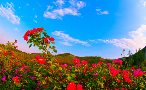 黃陂木蘭花谷風(fēng)景區(qū)門票免費(fèi)時(shí)間 黃陂木蘭花鄉(xiāng)怎么坐車
