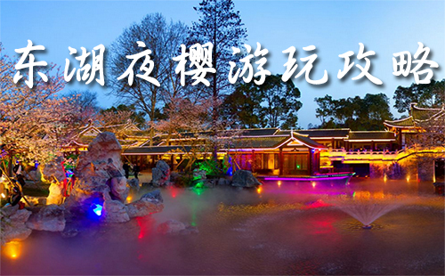 東湖櫻花園櫻花開(kāi)了嗎（夜櫻時(shí)間+游玩攻略）