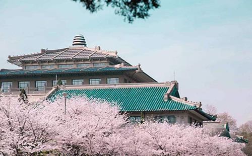 武大櫻花什么時(shí)候開(kāi)2019
