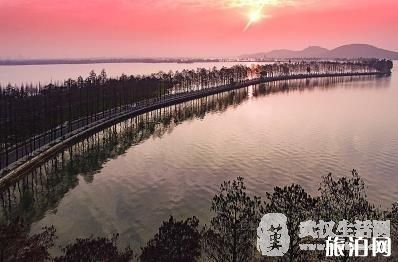 武大櫻花預約不上怎么辦 武大櫻花預約網(wǎng)址進不去(正在排隊+打不開網(wǎng)頁)