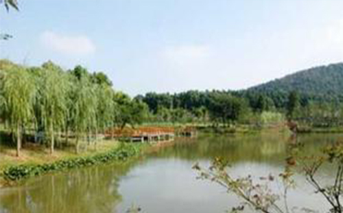 2019東湖馬鞍山森林公園戶(hù)外運(yùn)動(dòng)美食節(jié)開(kāi)啟春日派對(duì)