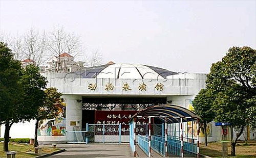 參加活動免費拿五一武漢動物園門票