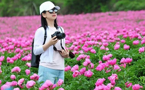 五一武漢最佳賞花景點在哪